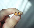 Honey Hessonite Garnet Stud Earrings